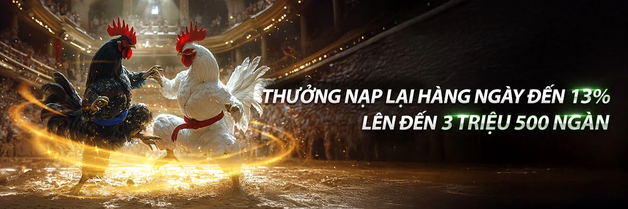 Trận đấu đá gà kịch tính tại ff168 win